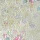 White one transparent