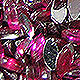Dark Pink