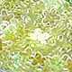 Green one transparent