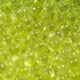 Citrus-Yellow