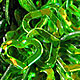 Green Metallic