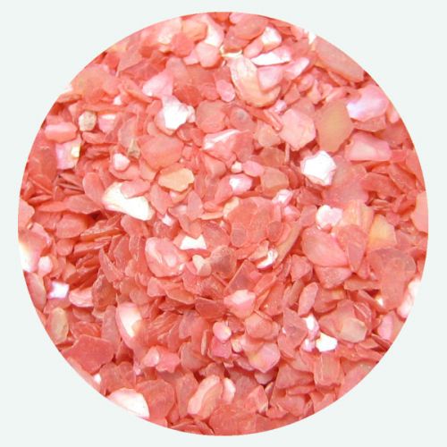 Preview: Muschel Splitter 3g Dose Hell Rot Nail Art Verzierung Perlmutt Crushed Shell Preview: shellys_hellrot