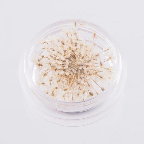 Preview: Nail Art Trocken Blumen Creme mini echte Blüten Trockenblumen Preview: Nail Art Trocken Blumen Creme mini echte Blüten Trockenblumen