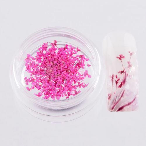 Preview: Nail Art Trocken Blumen Pink mini echte Blüten Trockenblumen Preview: trockenblume-pink-mini-mit-tip
