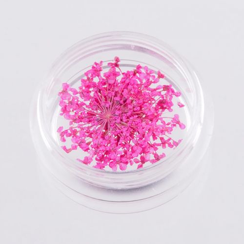 trockenblume-pink-mini