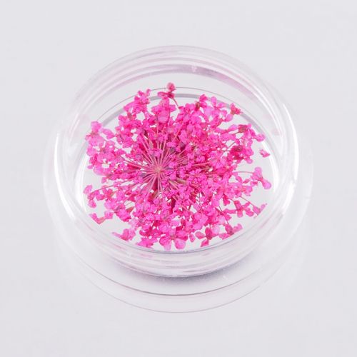 Preview: Nail Art Trocken Blumen Pink mini echte Blüten Trockenblumen Preview: Nail Art Trocken Blumen Pink mini echte Blüten Trockenblumen