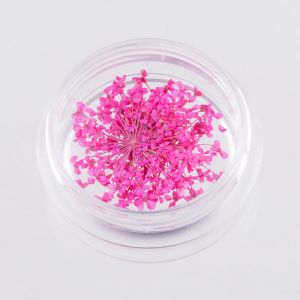trockenblume-pink-mini
