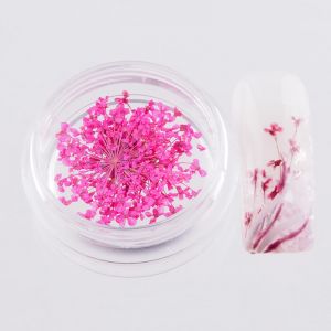 trockenblume-pink-mini-mit-tip